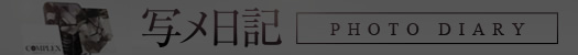 写メ日記